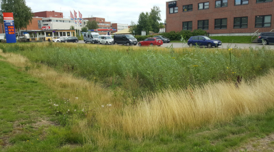 Biohiilisuodatusalue valuma-alueella Metsälässä.